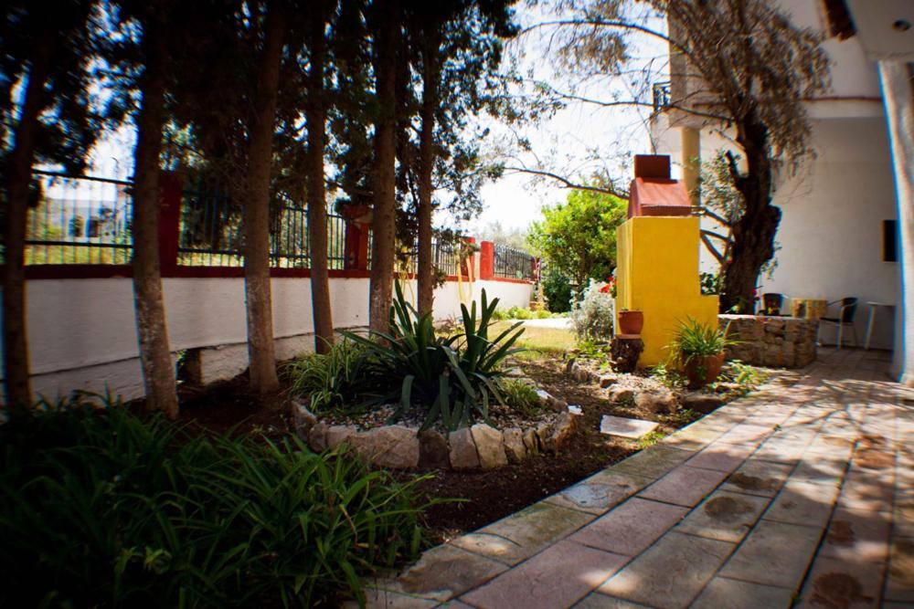 Apartment Sabrina Faliraki